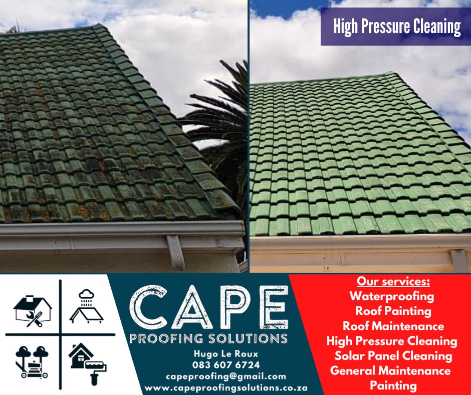 Roof Cleaning
